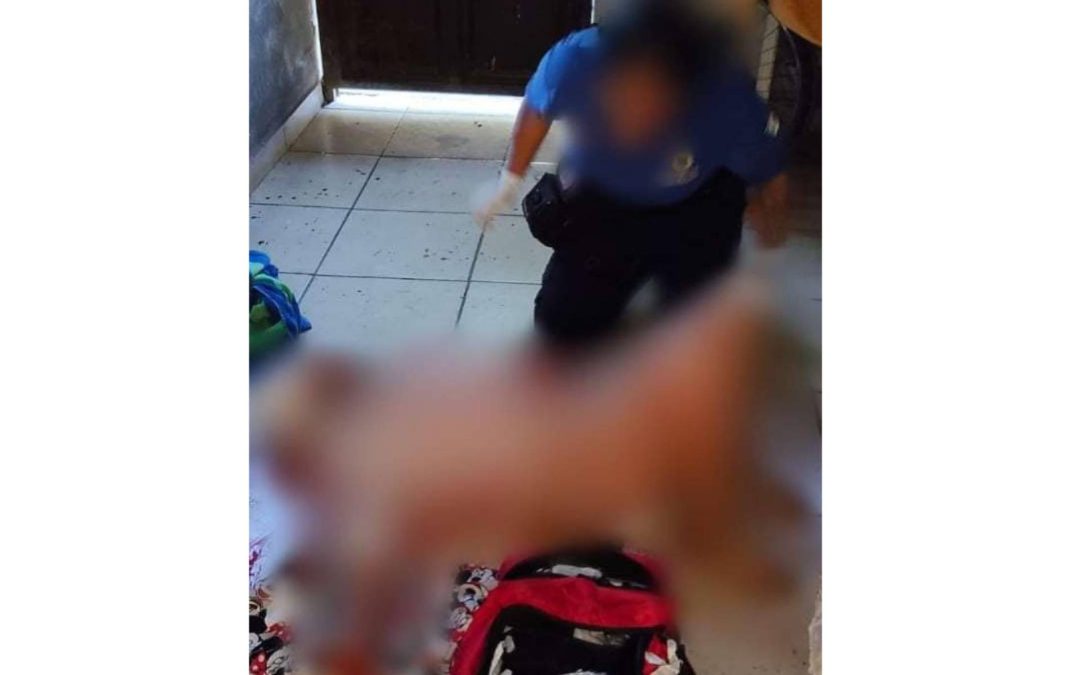 Detienen a presunto agresor tras brutal ataque con arma blanca contra su hermana en Apatzingán