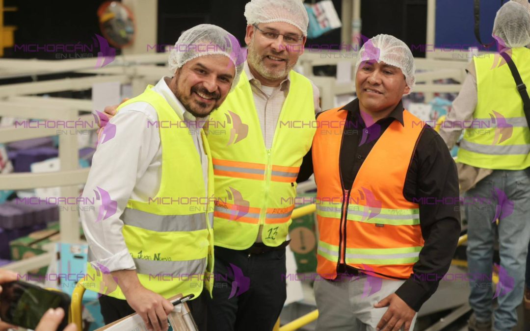 Guardián Forestal frena exportación de 2 mil huertas de aguacate por deforestación: Bedolla