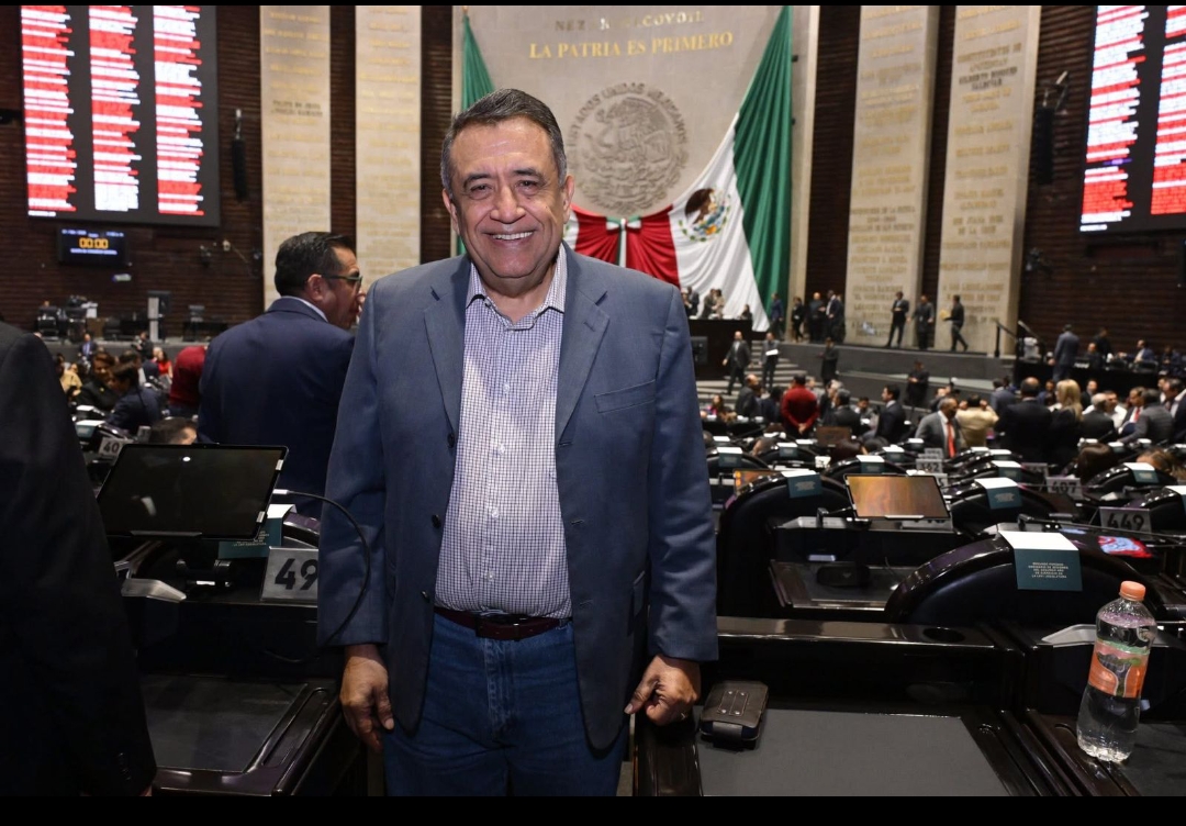 Reforma Electoral: voto directo, menos gasto y más democracia participativa: Cruz Lucatero