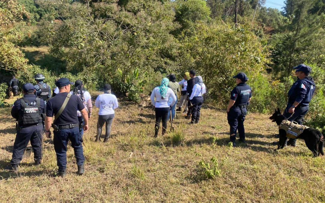 Guardia Civil mantiene operativos de búsqueda forense en Michoacán